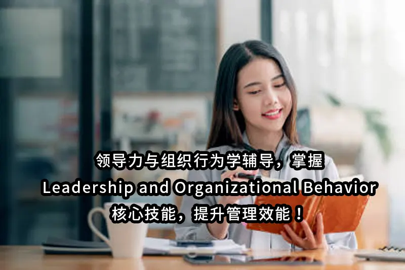 领导力与组织行为学辅导，掌握Leadership and Organizational Behavior核心技能，提升管理效能！